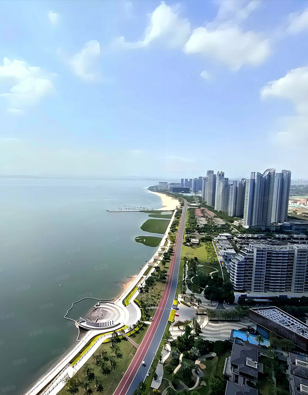 项目评价 项目评价